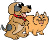 Hund und Katze