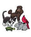Hund, Katze, Haustiere