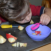 Äpfel erforschen - Naturkunde fur Kinder