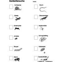 Projekt Frosch Und Teich Kindergarten Und Kita Ideen