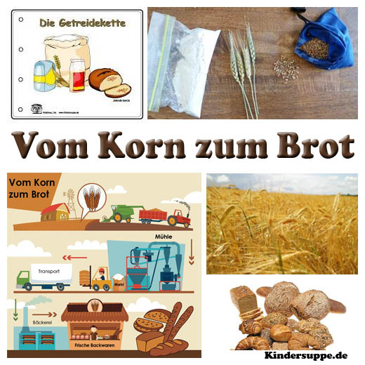 Vom Korn zum Brot Vorschule Projekt und Ideen Kindergarten